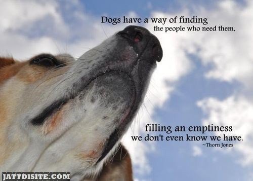 Dogs Have A Way Of Finding The People Who Need Them - Pets Quote