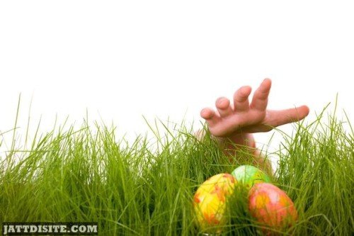 Easter Egg Hunt2