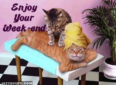 Enjoy Your Week-end Cat Graphic