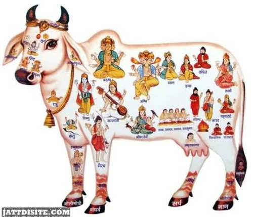 Gods On Cow Amalaki Ekadasi Graphic