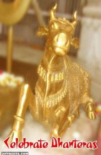 Gold Cow For Dhanteras Day