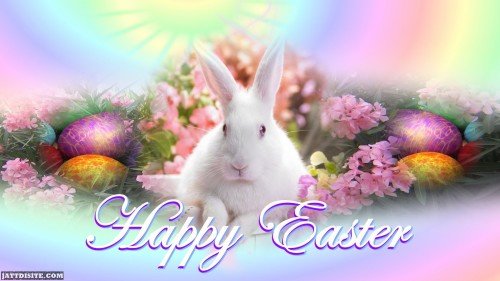 Happy Easter Rabbit1