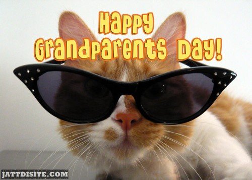 Happy Grandparents Day Cat Graphic