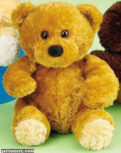 Happy Teddy Day Greeting Card Picture