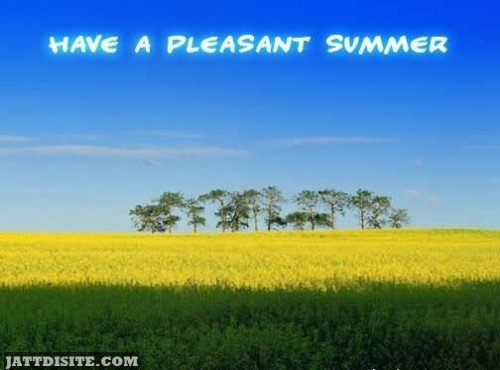Have A Pleasant Summer