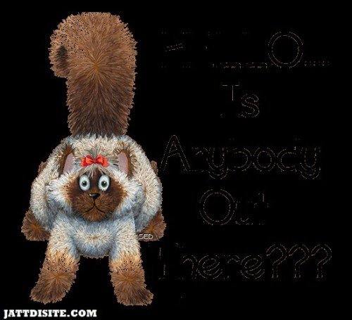 Hello Is Anybody