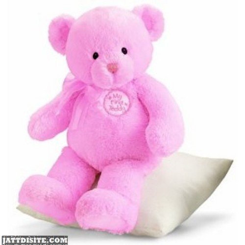 I Like Pink Teddy
