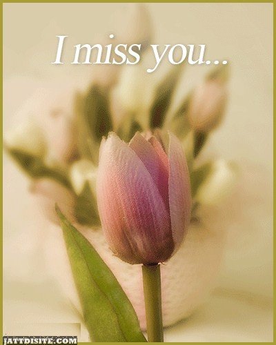 I Miss You Today