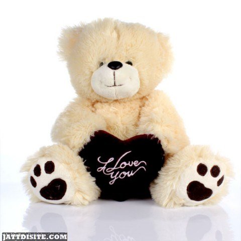 i love u bear