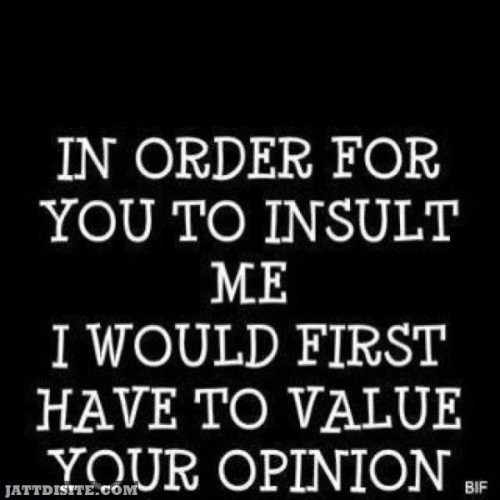 In Order For You To Insult Me I Would First Have To value Your Opinion - Opinion Quote
