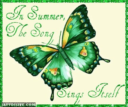 In Summer The Song Sings Itself Glitter