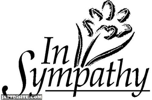 In Sympathy Graphic