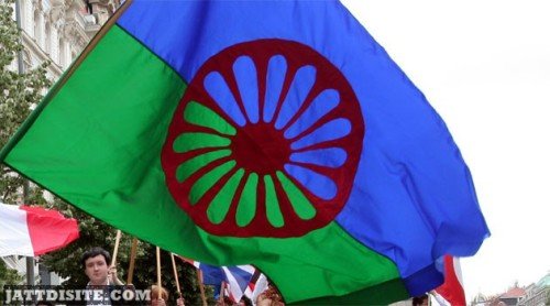 International Romani Day Parade Flag Graphic