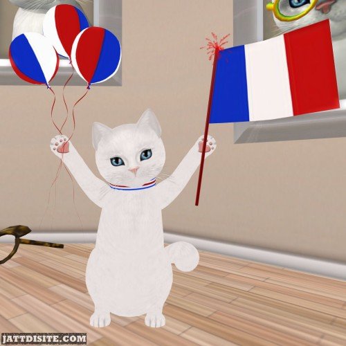 Kitty Celebrates Bastille Day