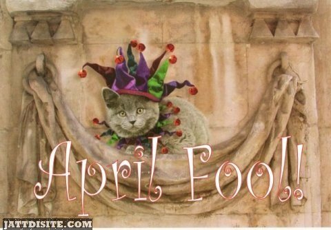 Nice April Fools Day Greeting Card