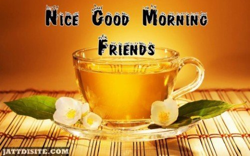 Nice Good Morning Friends