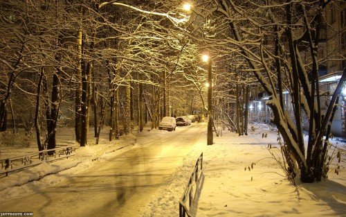 Night Light Lamps In Winter