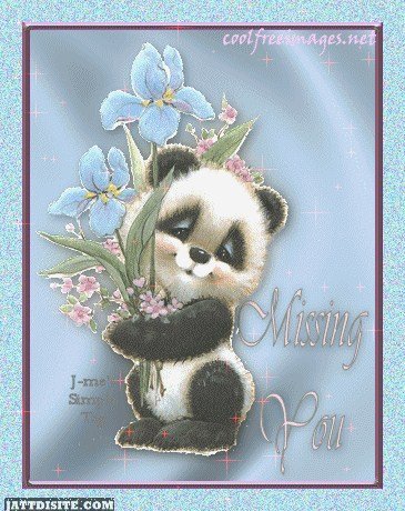 Panda Missing You