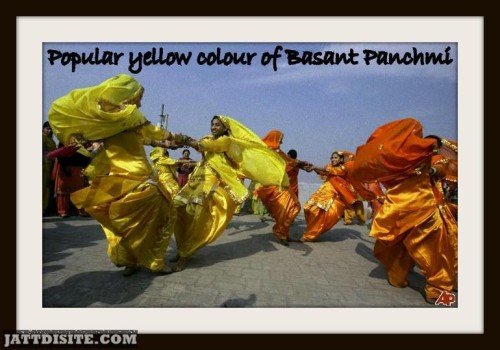 Popular Yellow Colour Of Basant Panchami