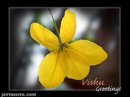 Pretty Vishu Greetings