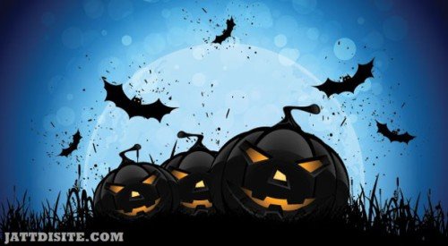 Pumpkin With Bats On Halloween