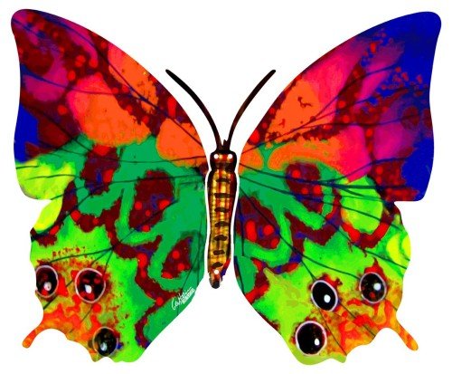 Rainbow Butterflies