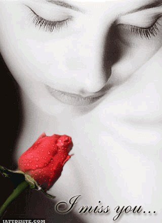 Red Rose Miss You