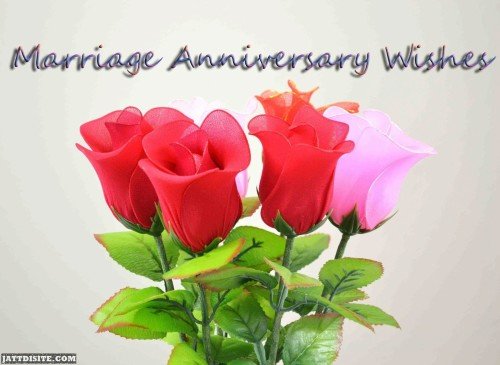 Rose flowers marriage anniversary wishes