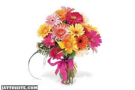 Sending You Lovely Flowers