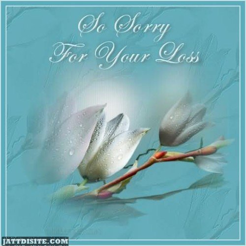 So Sorry For Your Loss Sympathy Graphic