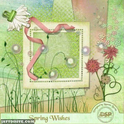 Spring Wishes Greeting Card