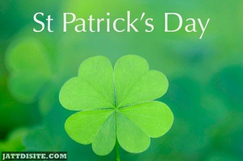 St. Patricks Day Clover Leaf Graphic