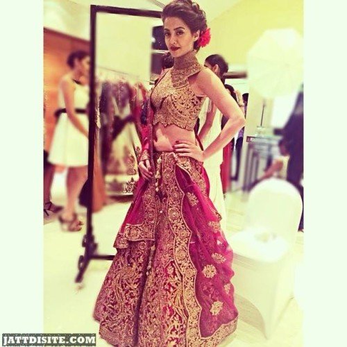 Surveen Chawla In Gorgeous Dress