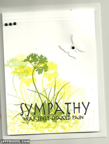 Sympathy Heartfelt Shared Pain