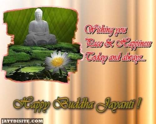 Take Peace On Buddha Jayanti