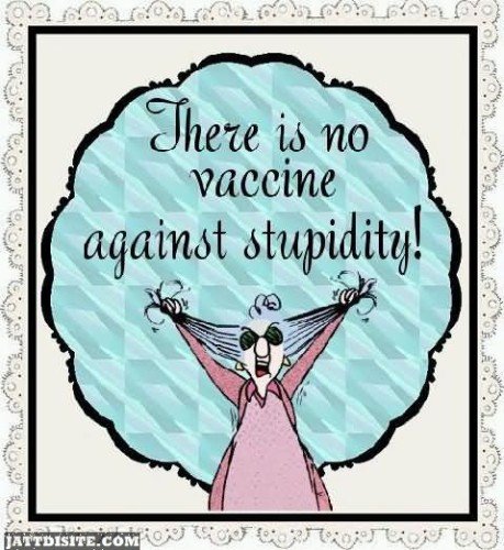 There Is No Vaccine Against Stupidity Insult Graphic