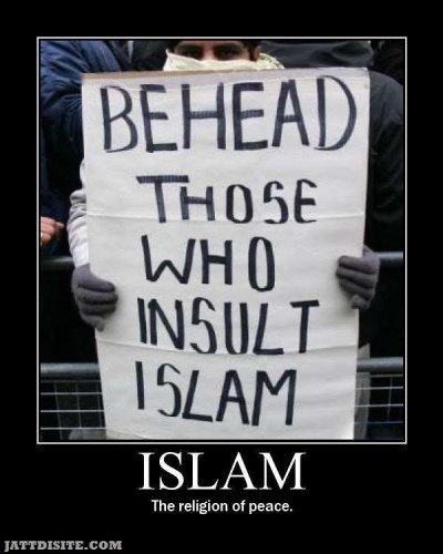 Who Insult Islam