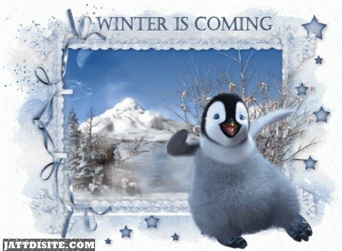 Winter Is Coming Penguin Is Happy