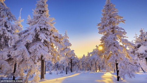 Winter Sunrise Image