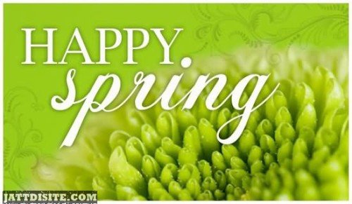 Wishing You Happy Spring