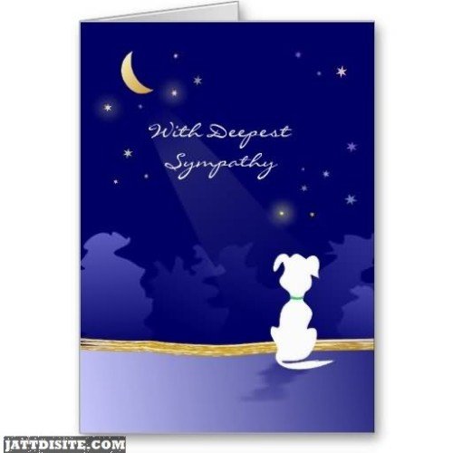 With Deepest Sympathy Card For You Graphic For Share On Hi5