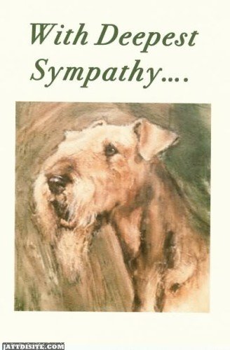 With Deepest Sympathy Card1