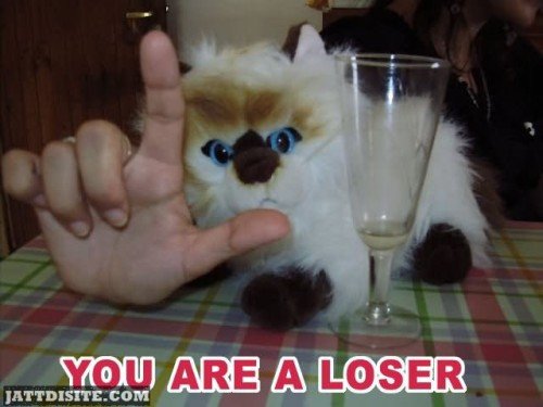You Are A Loser Insult Graphic
