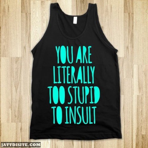 You Are Litterally Too Stupid To Insult On Tshirt Insult Graphic