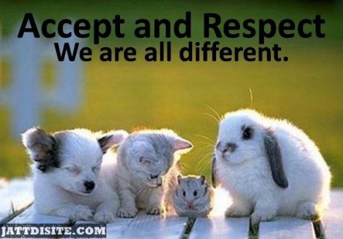 Accept And Respect We Are All Different