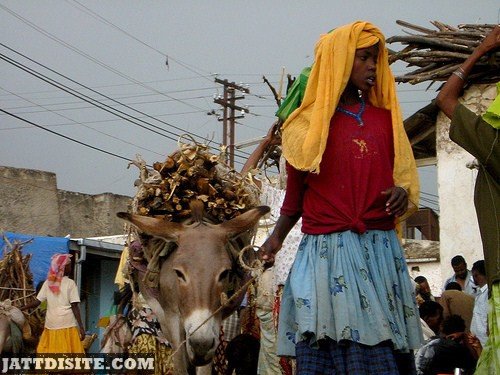 African Lady With The Donkey