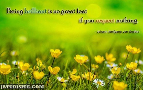 Being Brilliant Is No Great Feet If You Respect Nothing