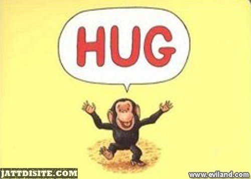 Chimpanzee Hugs You