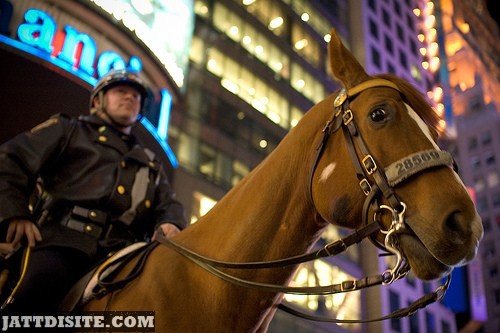 Cop With His  Horse