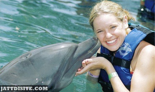 Dolphin Kissing The Girl